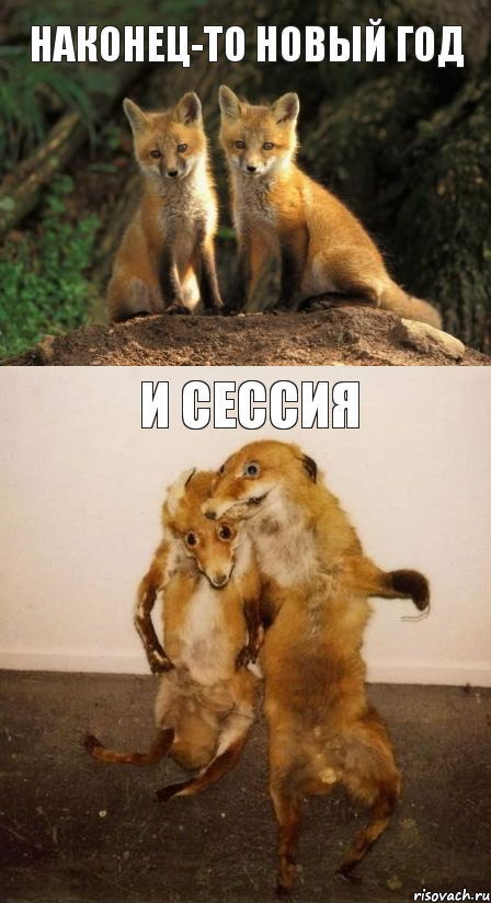 наконец-то новый год и СЕССИЯ, Комикс Лисицы