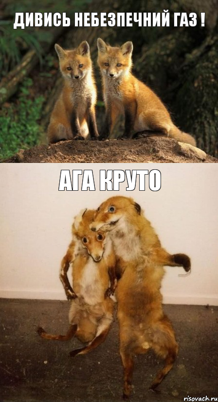 Дивись небезпечний газ ! Ага Круто, Комикс Лисицы