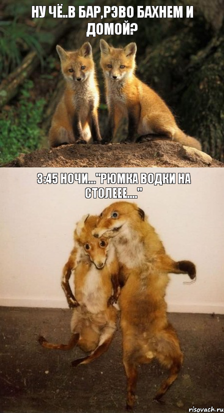 ну чё..в бар,рэво бахнем и домой? 3:45 ночи..."рюмка водки на столеее....", Комикс Лисицы