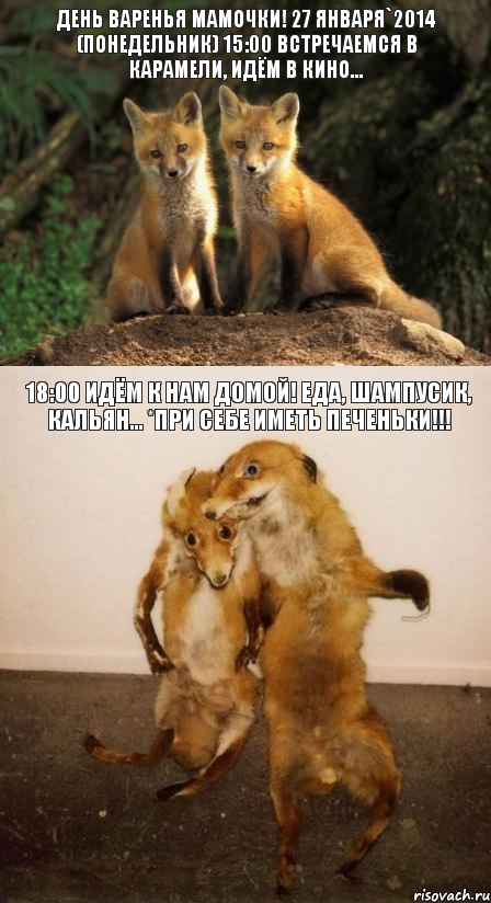 ДЕНЬ ВАРЕНЬЯ МАМОЧКИ! 27 января`2014 (Понедельник) 15:00 встречаемся в Карамели, идём в кино... 18:00 идём к нам домой! Еда, шампусик, кальян... *при себе иметь ПЕЧЕНЬки!!!, Комикс Лисицы