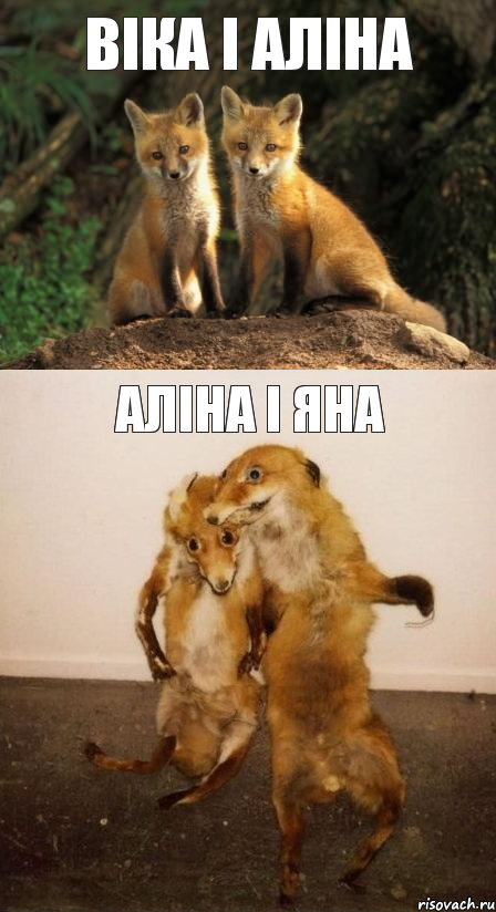Віка і Аліна Аліна і Яна, Комикс Лисицы