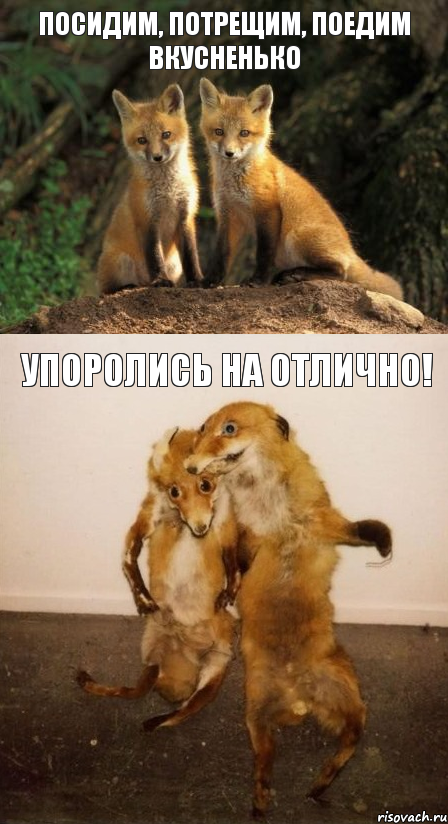Посидим, потрещим, поедим вкусненько упоролись на отлично!, Комикс Лисицы