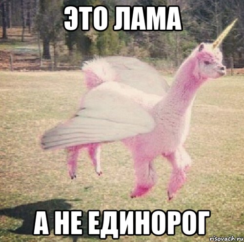 ЭТО ЛАМА А НЕ ЕДИНОРОГ, Мем Llama