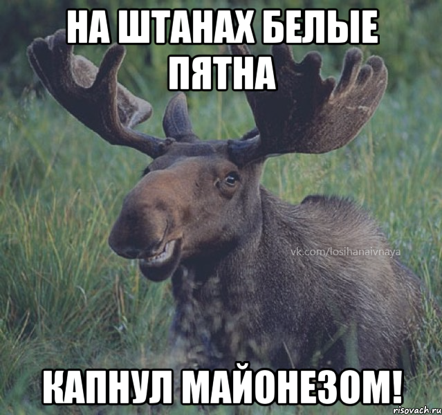 На штанах белые пятна Капнул майонезом!