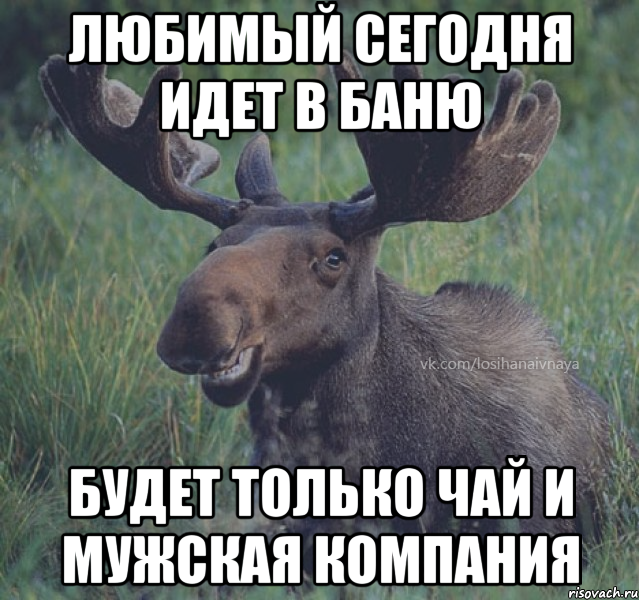 Любимый сегодня идет в баню будет только чай и мужская компания