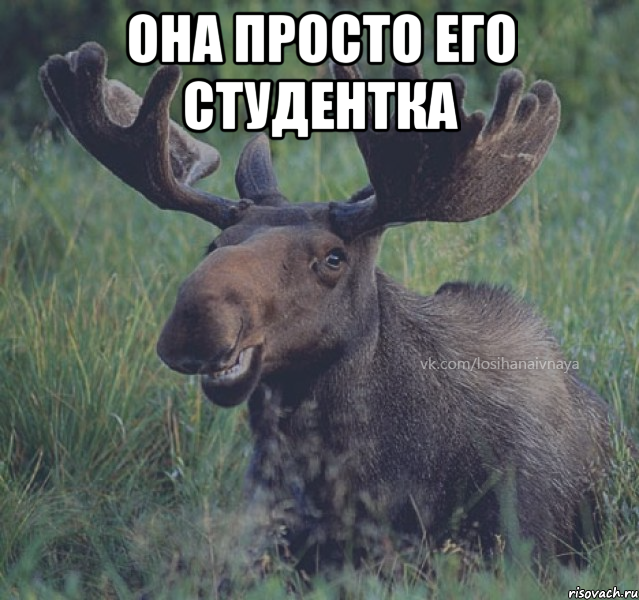 она просто его студентка 