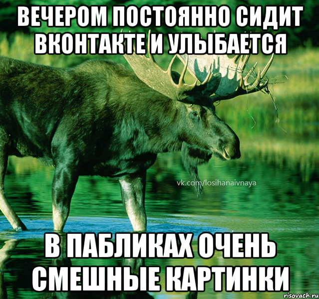 вечером постоянно сидит вконтакте и улыбается в пабликах очень смешные картинки