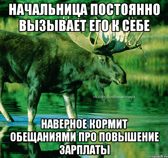 начальница постоянно вызывает его к себе наверное кормит обещаниями про повышение зарплаты