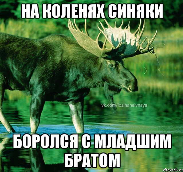 на коленях синяки боролся с младшим братом