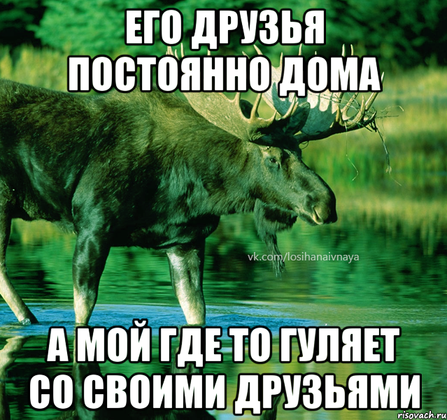 его друзья постоянно дома а мой где то гуляет со своими друзьями
