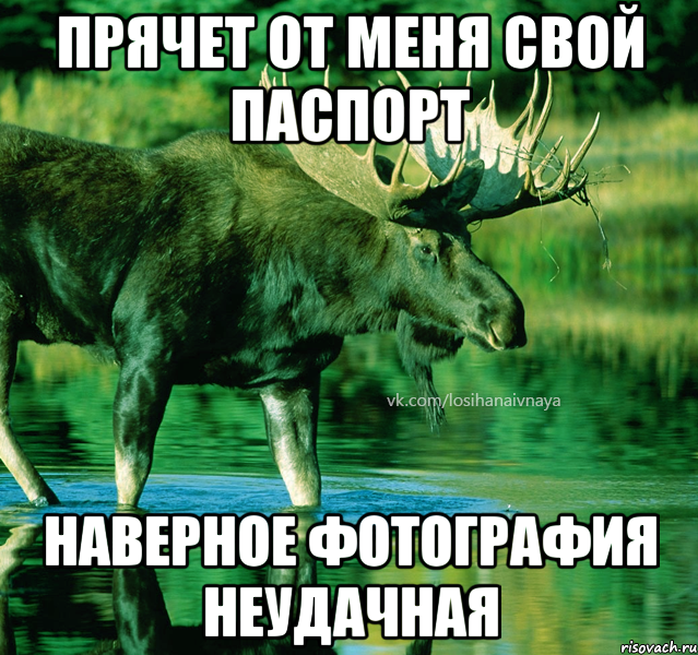 прячет от меня свой паспорт наверное фотография неудачная