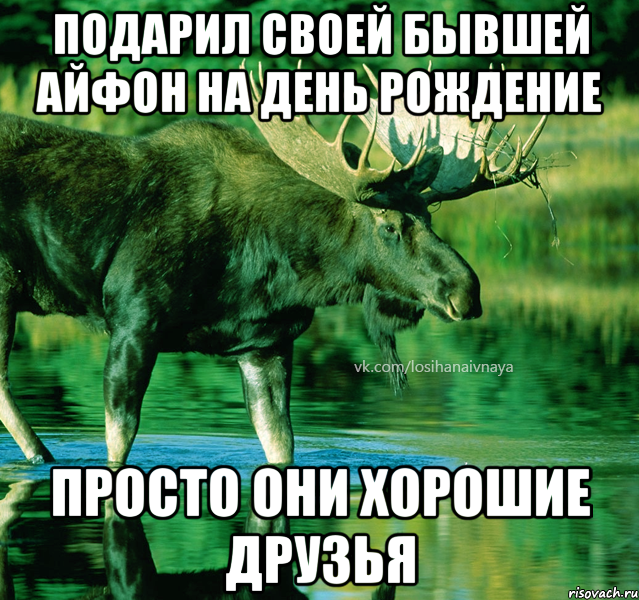 подарил своей бывшей айфон на день рождение просто они хорошие друзья