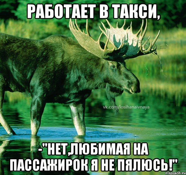 Работает в такси, -"нет,любимая на пассажирок я не пялюсь!"