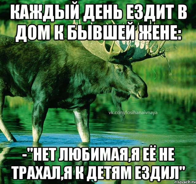 Каждый день ездит в дом к бывшей жене: -"Нет любимая,я её не трахал,я к детям ездил"