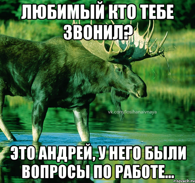 любимый кто тебе звонил? это Андрей, у него были вопросы по работе...