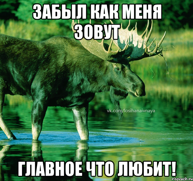 забыл как меня зовут главное что любит!