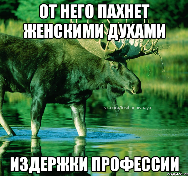 от него пахнет женскими духами издержки профессии