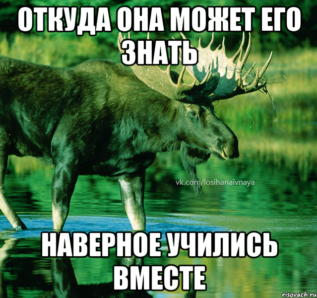 откуда она может его знать наверное учились вместе