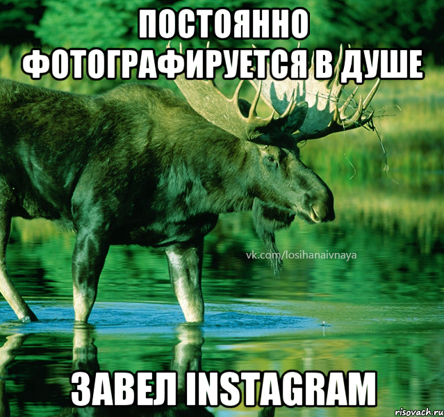 постоянно фотографируется в душе завел Instagram
