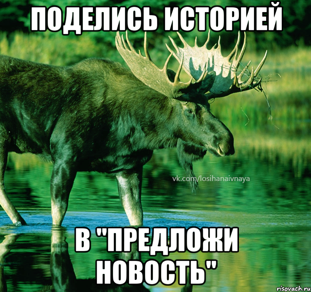 Поделись историей В "предложи новость"