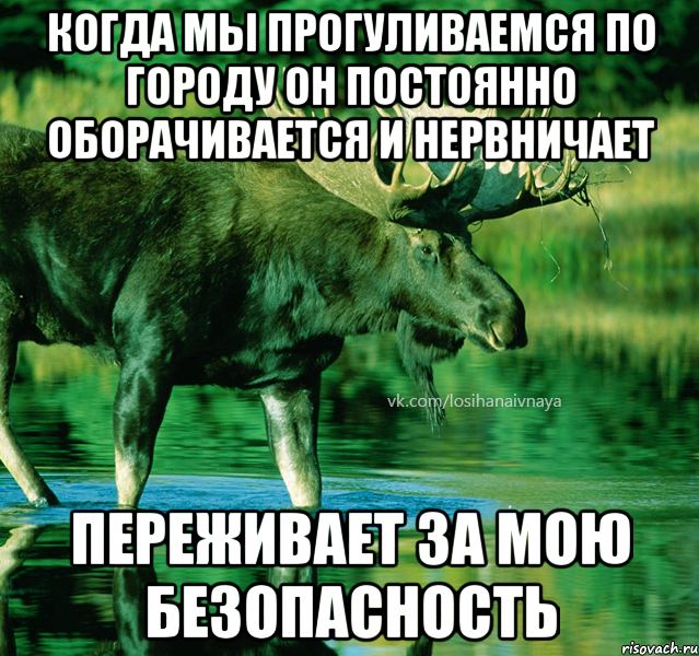 когда мы прогуливаемся по городу он постоянно оборачивается и нервничает Переживает за мою безопасность