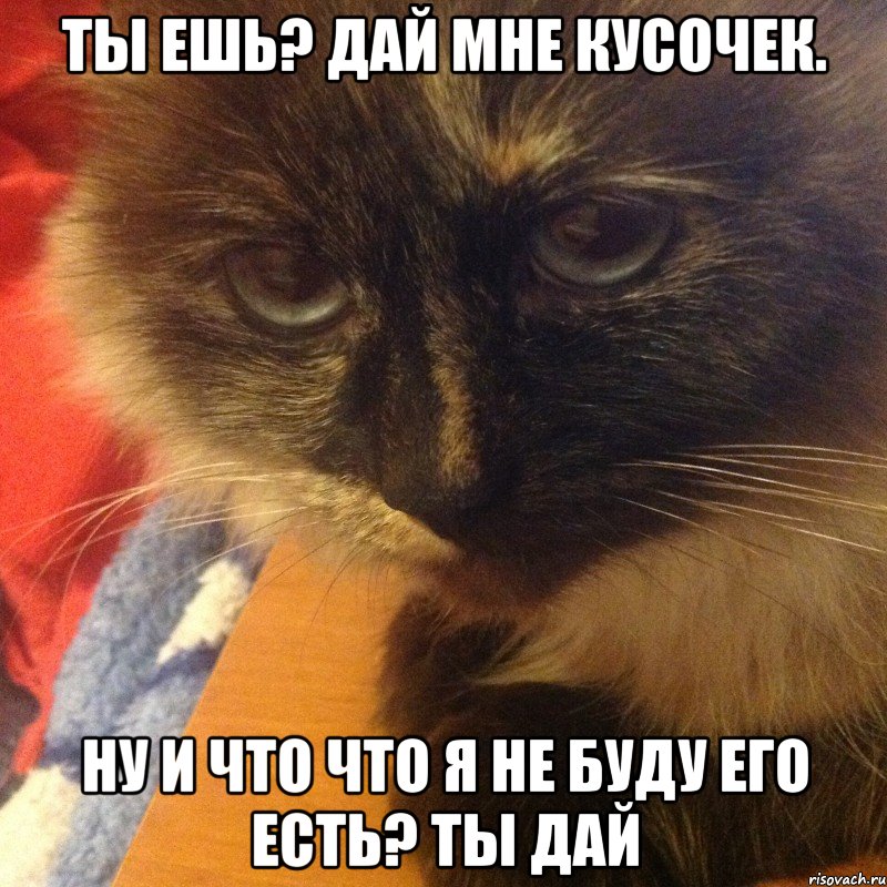 ты ешь? дай мне кусочек. ну и что что я не буду его есть? ты дай, Мем люська