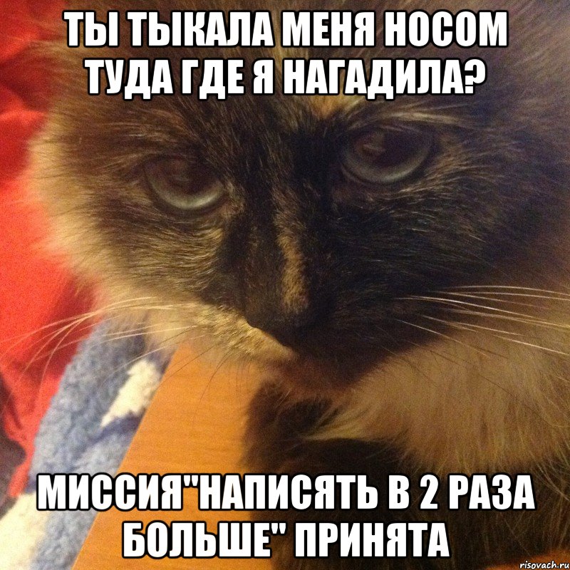 ты тыкала меня носом туда где я нагадила? миссия"написять в 2 раза больше" принята, Мем люська