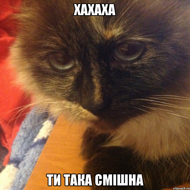 хахаха ти така смішна, Мем люська