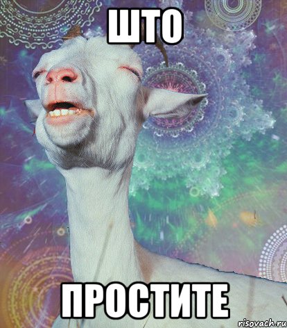 што простите, Мем мага ты ювелир