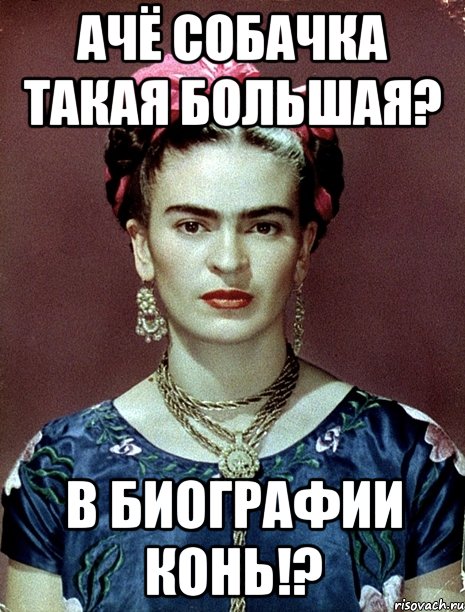 ачё собачка такая большая? в биографии конь!?, Мем Magdalena Carmen Frieda Kahlo Ca