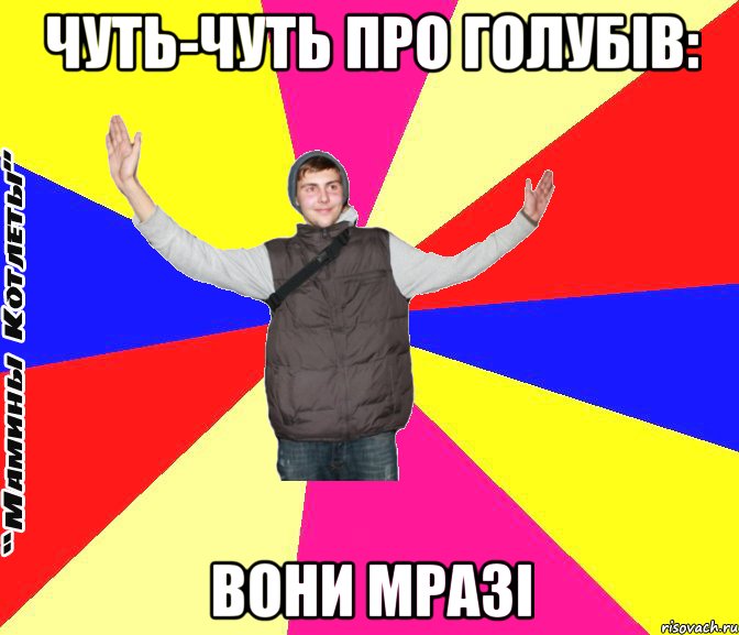 чуть-чуть про голубів: вони мразі