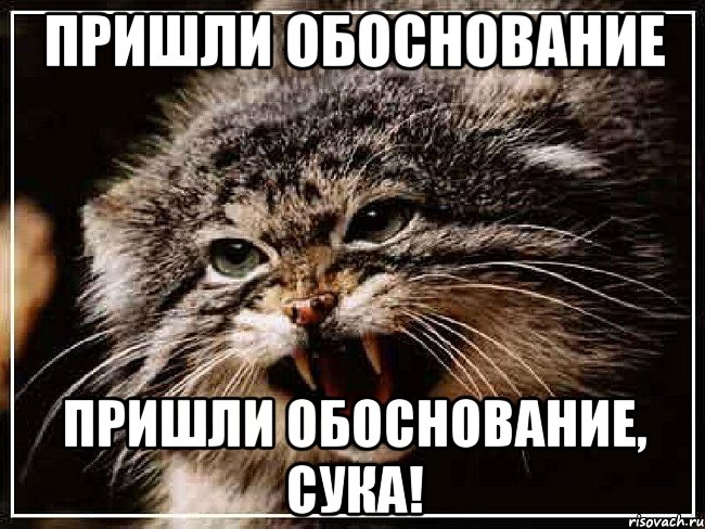 Пришли обоснование Пришли обоснование, сука!, Мем манул