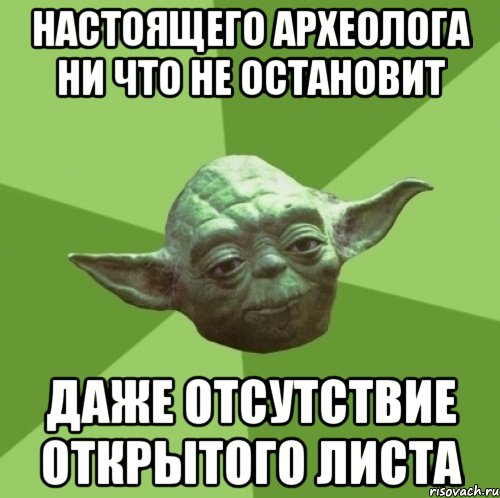 Настоящего археолога ни что не остановит Даже отсутствие открытого листа, Мем Мастер Йода