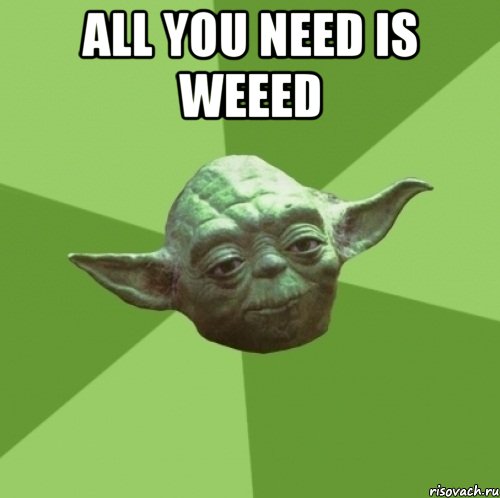 all you need is weeed , Мем Мастер Йода