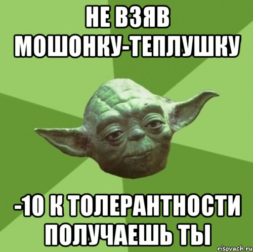 Не взяв мошонку-теплушку -10 к толерантности получаешь ты, Мем Мастер Йода