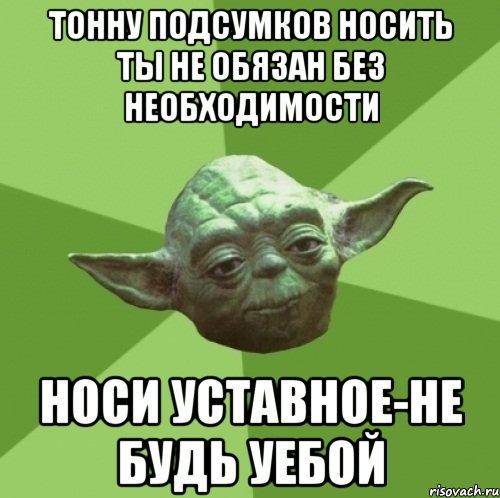 тонну подсумков носить ты не обязан без необходимости носи уставное-не будь уебой, Мем Мастер Йода