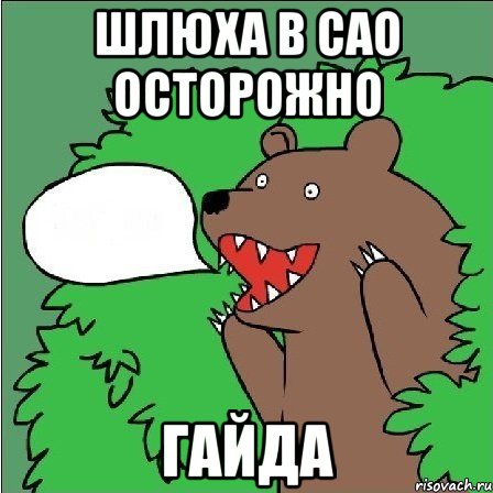 ШЛЮХА В САО ОСТОРОЖНО ГАЙДА
