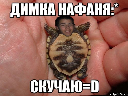 димка нафаня:* скучаю=D, Мем милый няшный ник черепашый