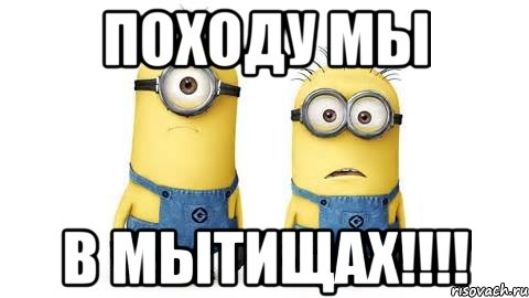 походу мы в Мытищах!!!!, Мем Миньоны