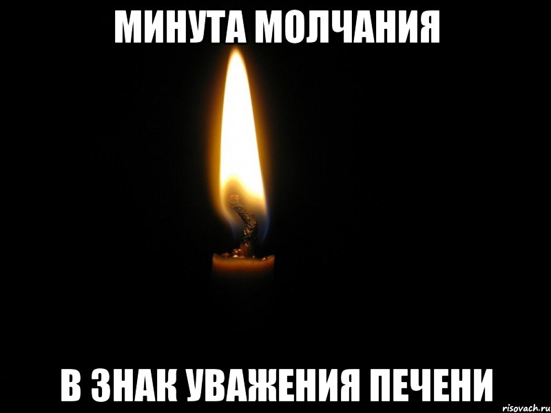 МИНУТА МОЛЧАНИЯ В ЗНАК УВАЖЕНИЯ ПЕЧЕНИ