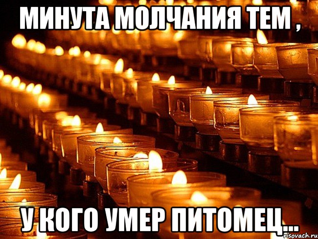 Минута молчания тем , у кого умер питомец..., Мем Минута молчания