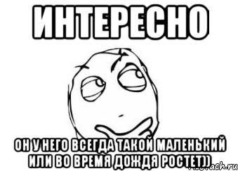 Интересно он у него всегда такой маленький или во время дождя ростет)), Мем Мне кажется или