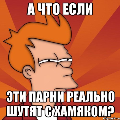 А ЧТО ЕСЛИ ЭТИ ПАРНИ РЕАЛЬНО ШУТЯТ С ХАМЯКОМ?, Мем Мне кажется или (Фрай Футурама)
