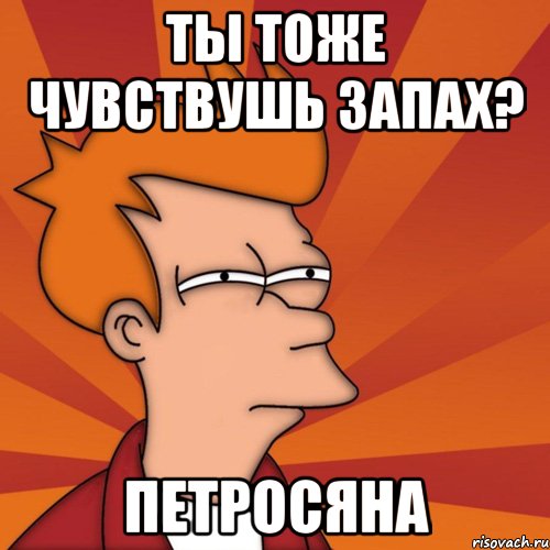 Ты тоже чувствушь запах? Петросяна, Мем Мне кажется или (Фрай Футурама)