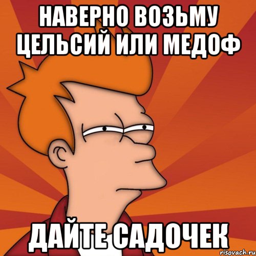 НАВЕРНО ВОЗЬМУ ЦЕЛЬСИЙ ИЛИ МЕДОФ ДАЙТЕ САДОЧЕК, Мем Мне кажется или (Фрай Футурама)