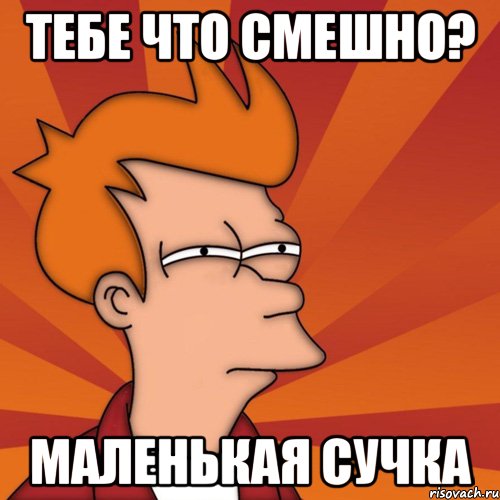 Тебе что смешно? маленькая сучка, Мем Мне кажется или (Фрай Футурама)