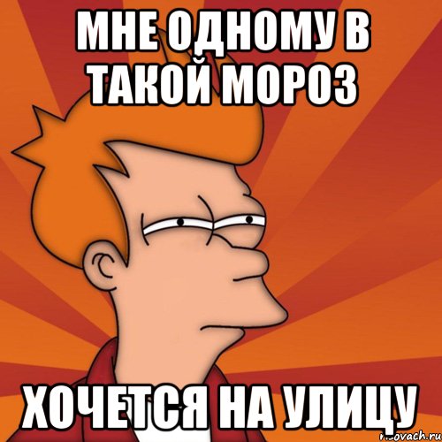 МНЕ ОДНОМУ В ТАКОЙ МОРОЗ ХОЧЕТСЯ НА УЛИЦУ, Мем Мне кажется или (Фрай Футурама)