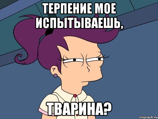 Терпение мое испытываешь, ТВАРИНА?, Мем Мне кажется или (с Лилой)