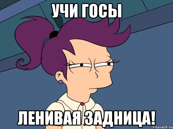 Учи ГОСы ленивая задница!, Мем Мне кажется или (с Лилой)