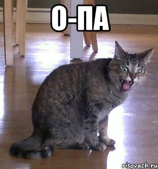 о-па 